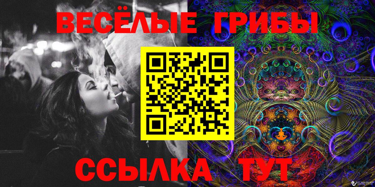 Псилоцибиновые грибы Psilocybine cubensis  Вход с VPN  Галлюциногенные грибы GOLDEN TEACHER  Хасавюрт 
